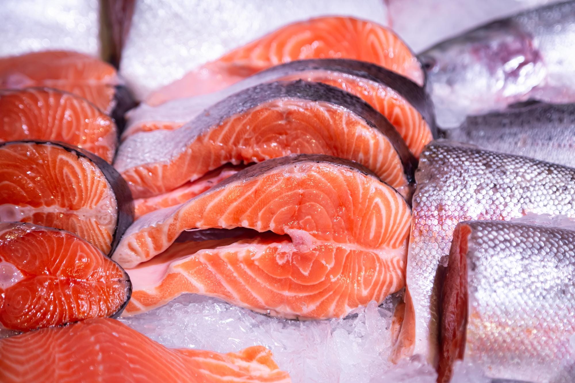 cold storage fish